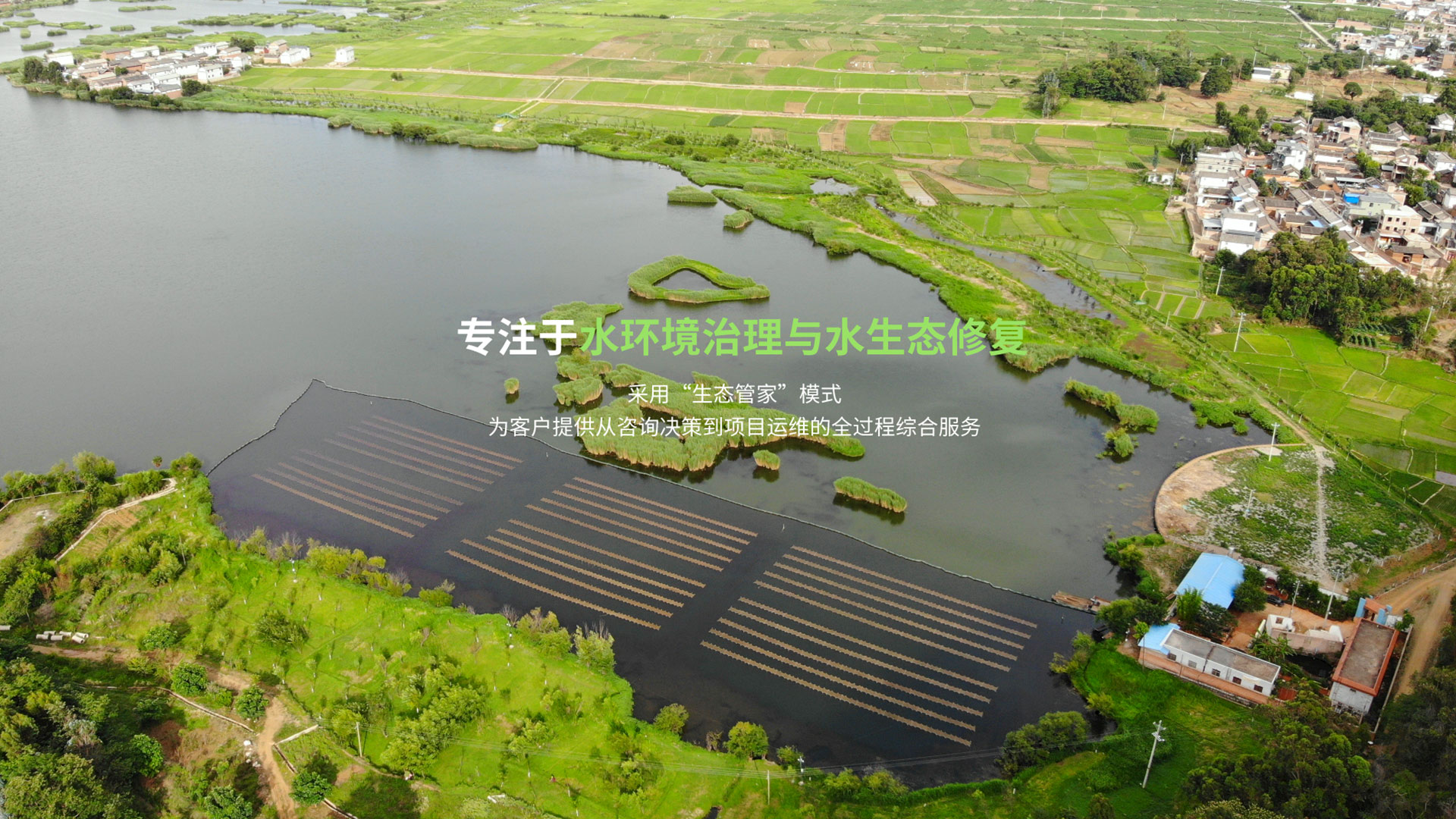 水生態(tài)修復